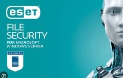 Kaspersky File Secuirty - 1 YIl